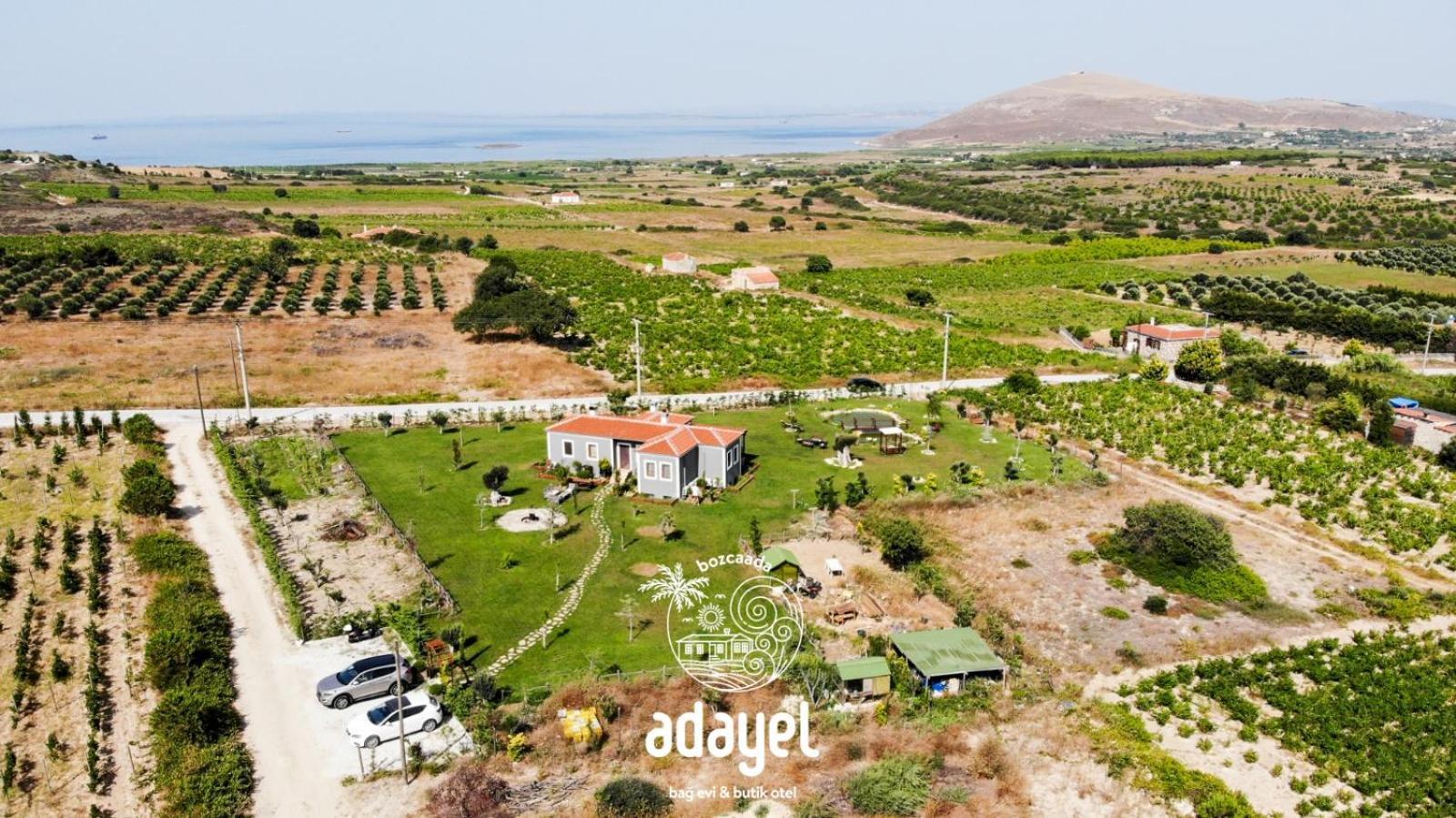 Adayel Bagevi & Butik Otel Bozcaada Exterior photo